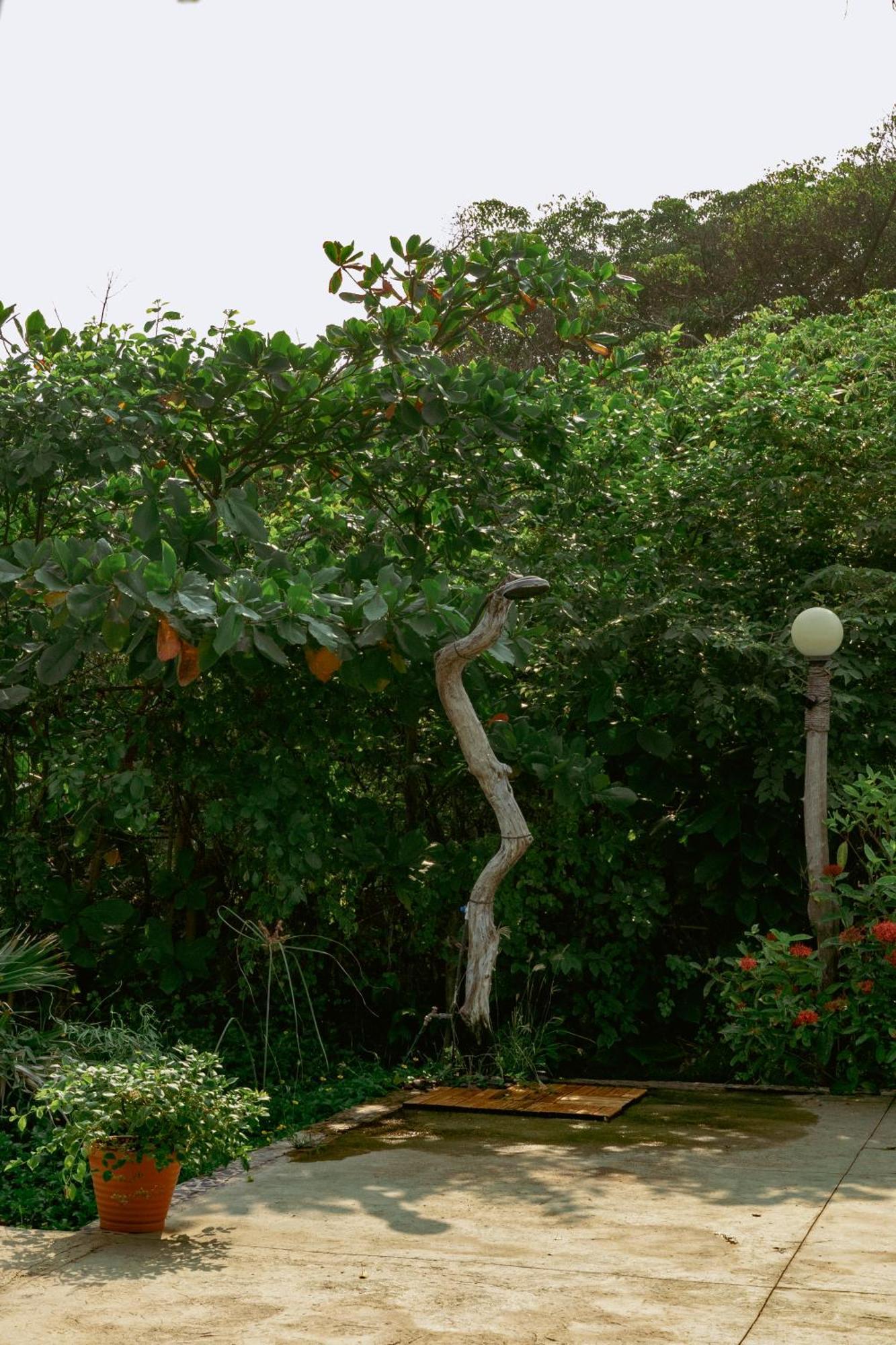 Naia - Miravalle Sonsonate Exterior foto